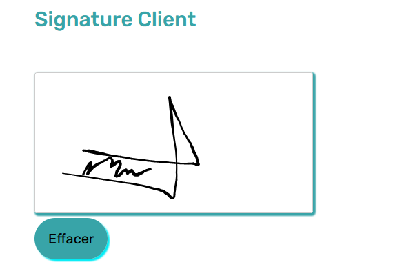 Visuel du pad de signature intégré dans le formulaire